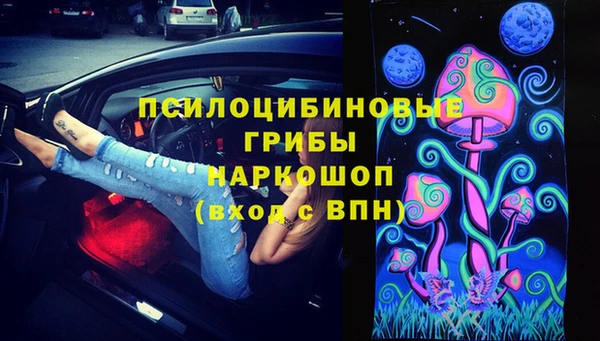 PSILOCYBIN Абдулино